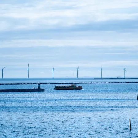 Brand New & Full Sea View In アパート *